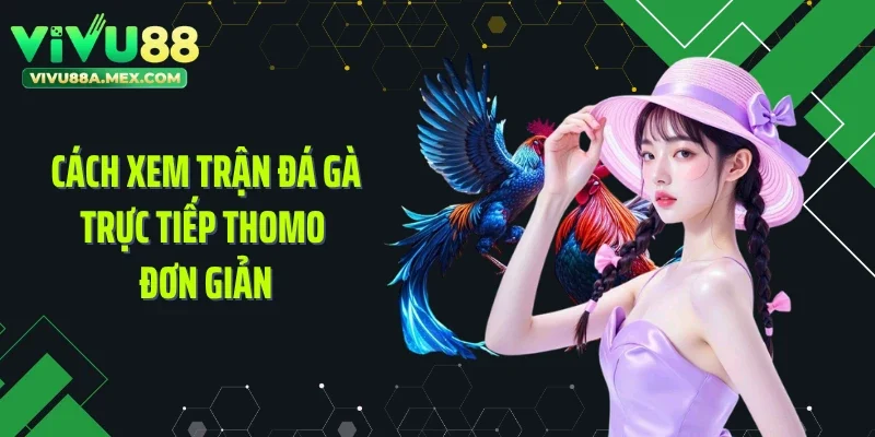 Cách xem trận đá gà trực tiếp Thomo đơn giản