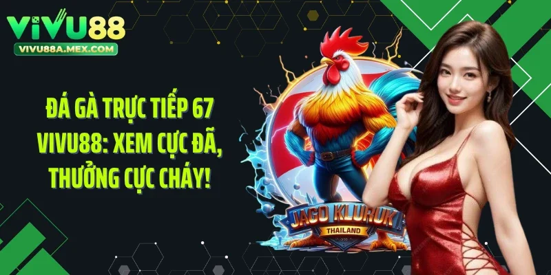 Đá Gà Trực Tiếp 67 VIVU88: Xem Cực Đã,  Thưởng Cực Cháy!
