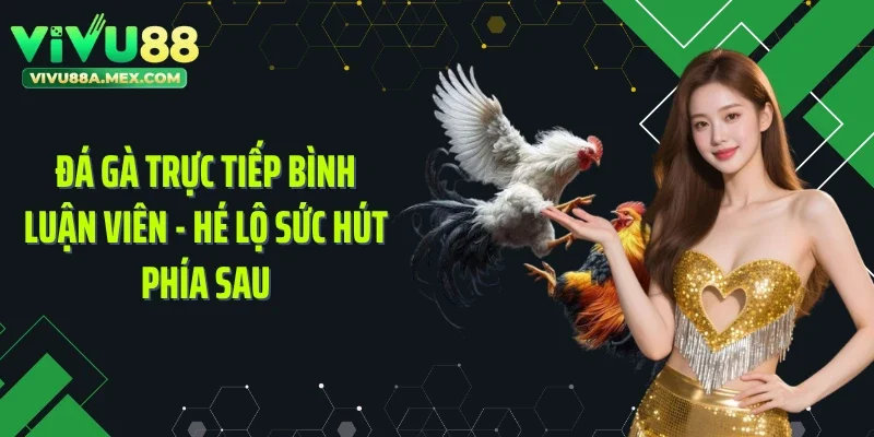 Đá Gà Trực Tiếp Bình Luận Viên - Hé Lộ Sức Hút Phía Sau