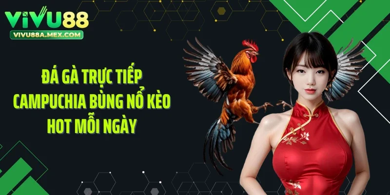 Đá Gà Trực Tiếp Campuchia Bùng Nổ Kèo Hot Mỗi Ngày