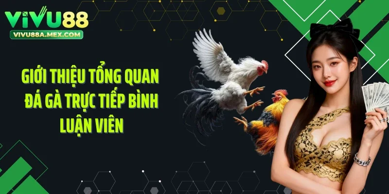 Giới thiệu tổng quan đá gà trực tiếp bình luận viên