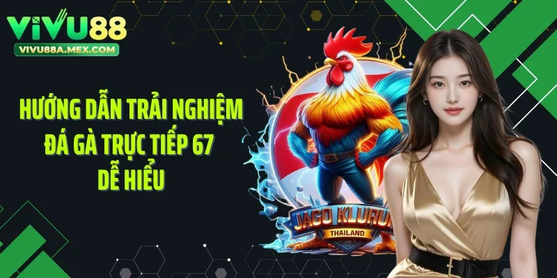 Hướng dẫn trải nghiệm đá gà trực tiếp 67 dễ hiểu