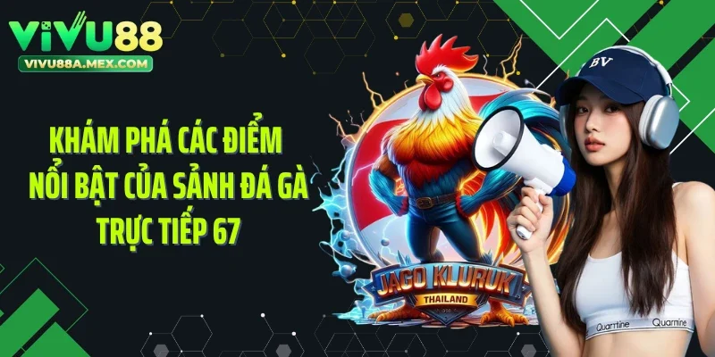 Khám phá các điểm nổi bật của sảnh đá gà trực tiếp 67