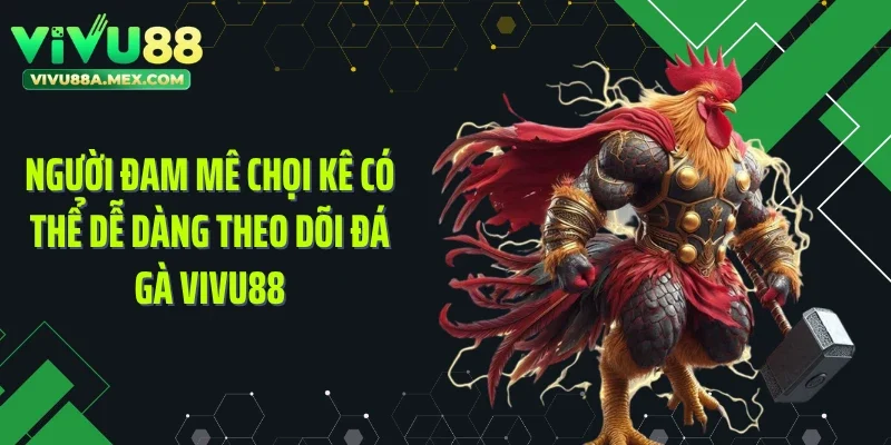 Người đam mê chọi kê có thể dễ dàng theo dõi đá gà Vivu88