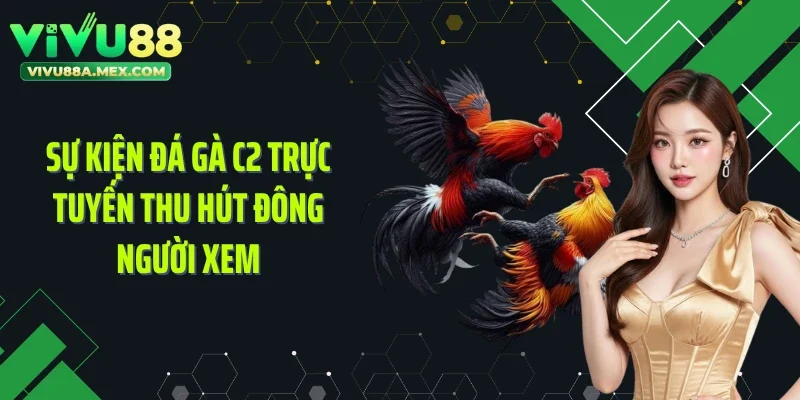 Sự kiện đá gà C2 trực tuyến thu hút đông người xem