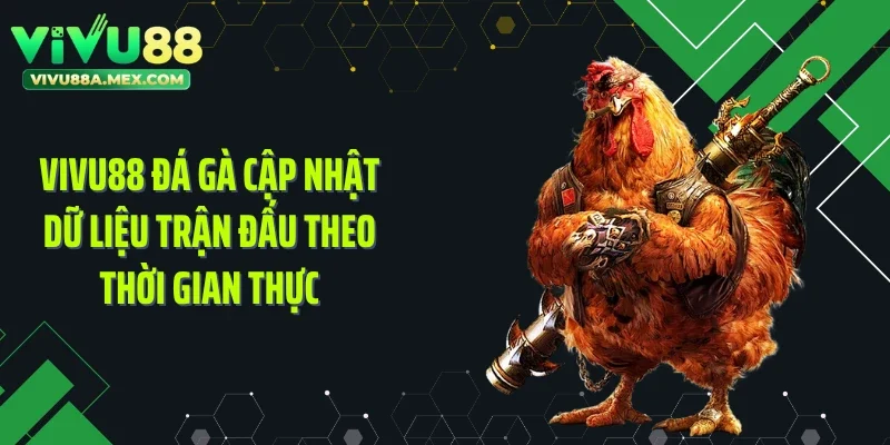 Vivu88 đá gà cập nhật dữ liệu trận đấu theo thời gian thực